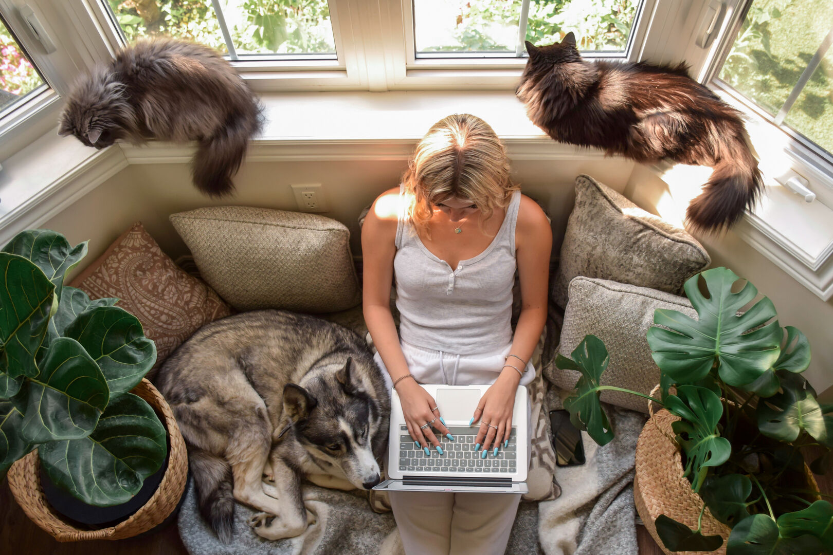 Teenage girl sitting at bay window with pets using laptop computer