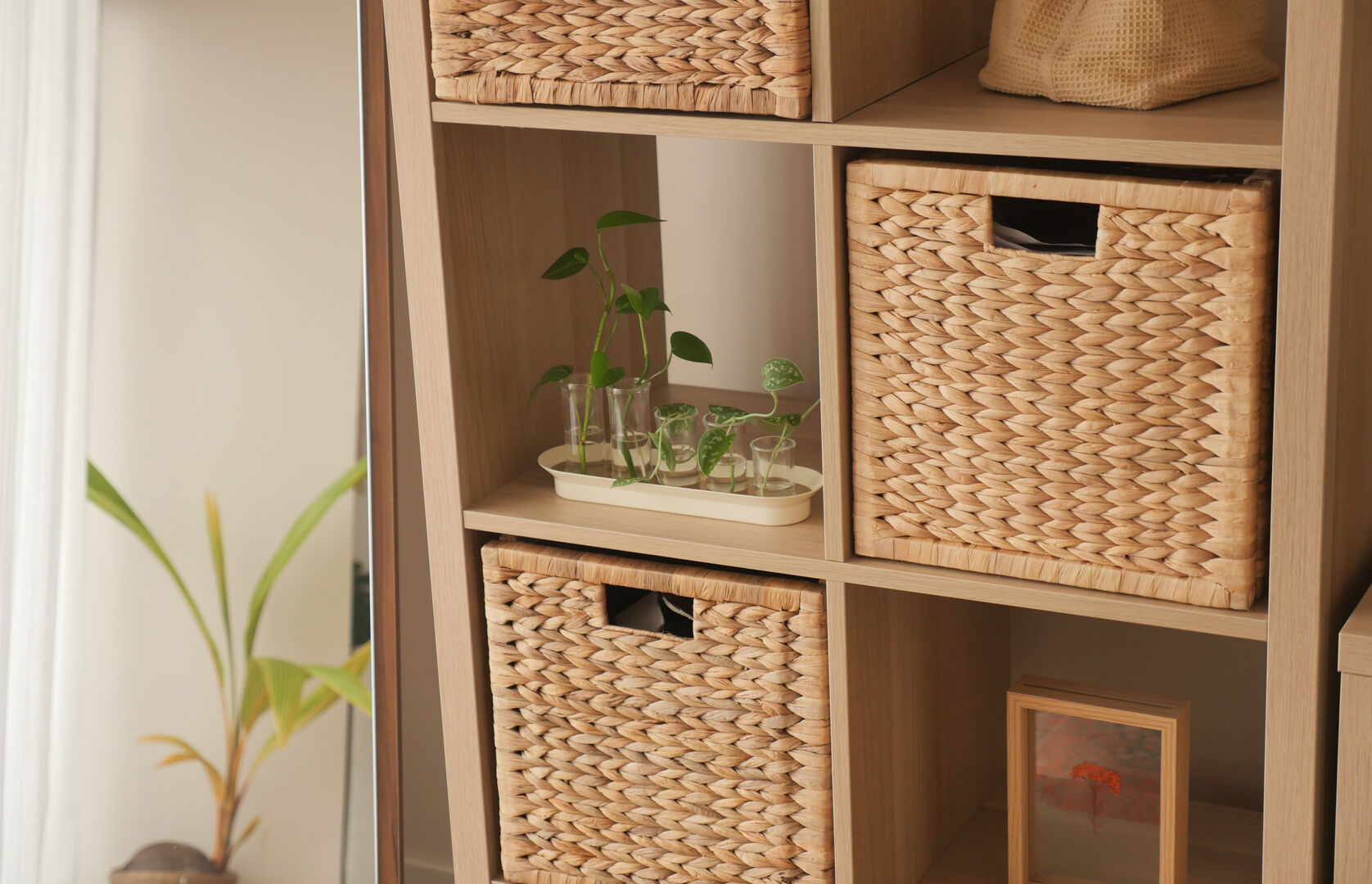 Storage organization and plant display in a modern room