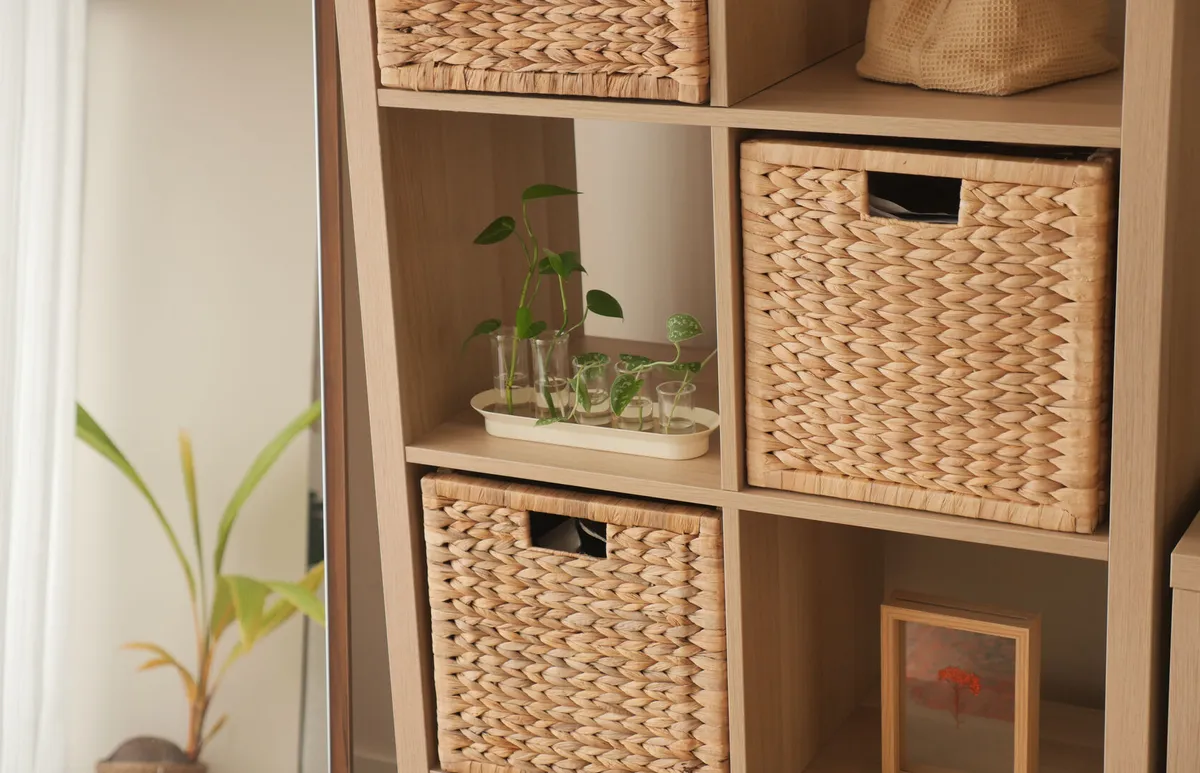 Storage organization and plant display in a modern room