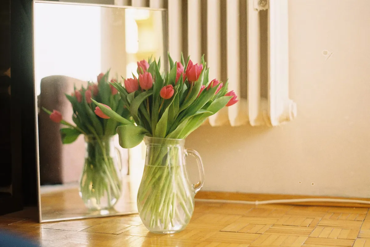 Pink tulips in a clear glass vase beside a mirror in a sunlit room