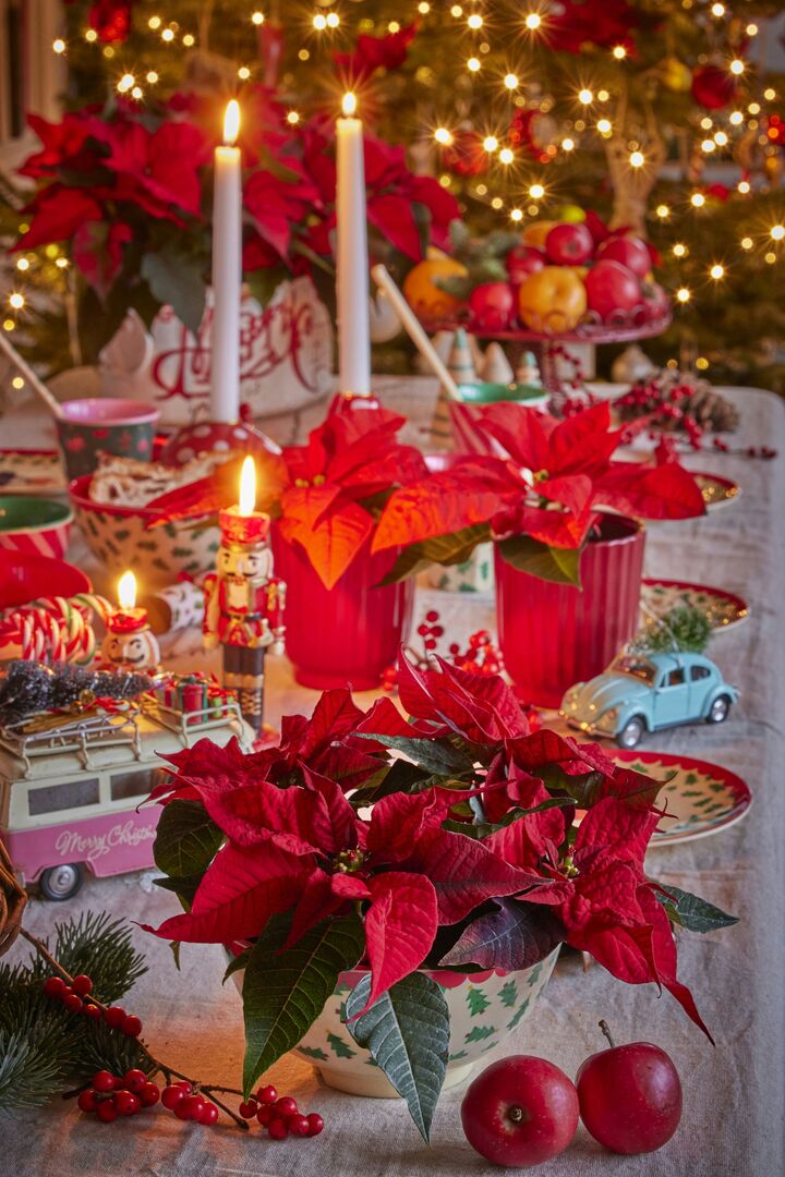 Dining table decorated for christmas with red poinsettias, white candlesticks and nutcracker statues.