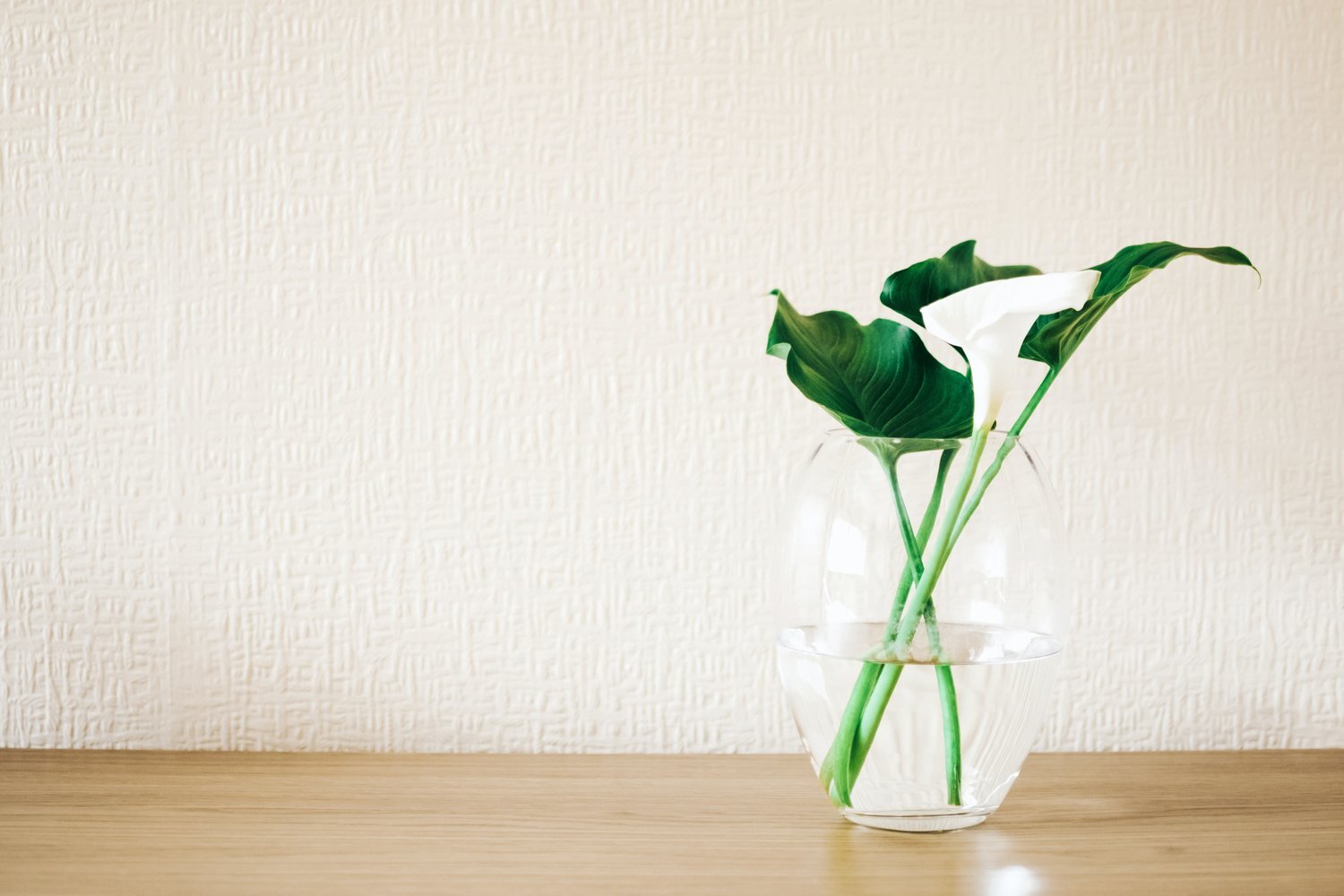 A vase sits in front of textured wallpaper